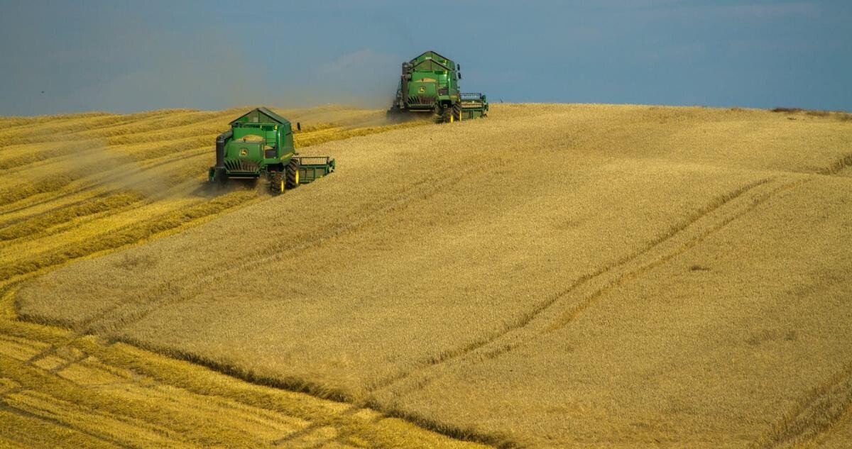 Canada e pregătită să ajute România cu exportul grâului blocat din cauza invaziei ruse