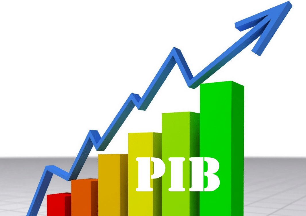 Adi Eleonor Trifu: Educația nu crește direct PIB-ul, dar decide cine creează valoare în economie