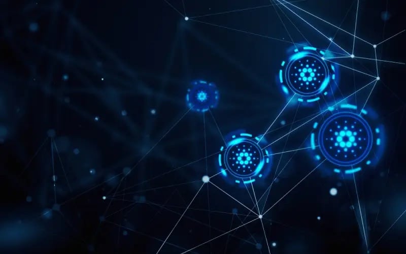 Bărbulescu & Marin: revoluția blockchain care schimbă fermele din România