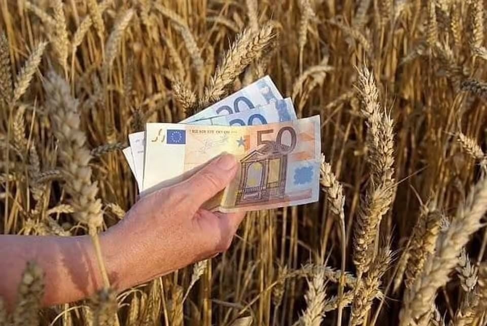 Băncile omoară fermierii români. Dobânzi imense și executări&nbsp;