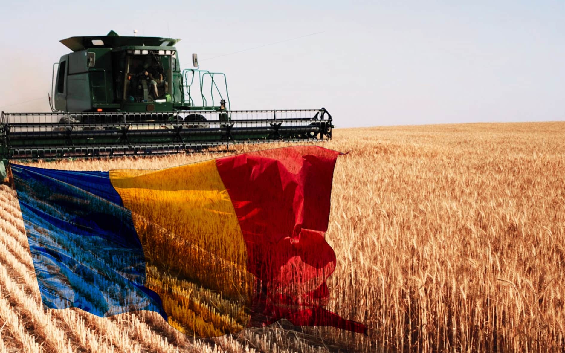 Agricultura românească are potențial, dar rămâne dependentă de exportul de materii prime