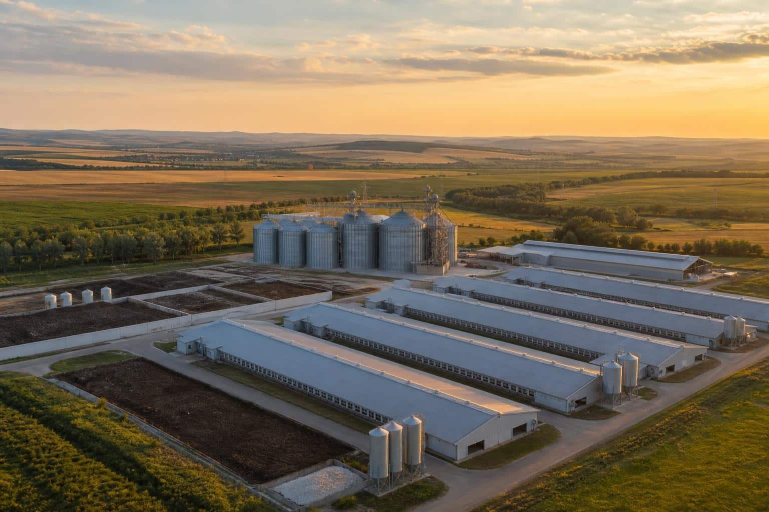 Comtim după faliment: ce arată cazul Smithfield despre investiții, integrare și producția de porc