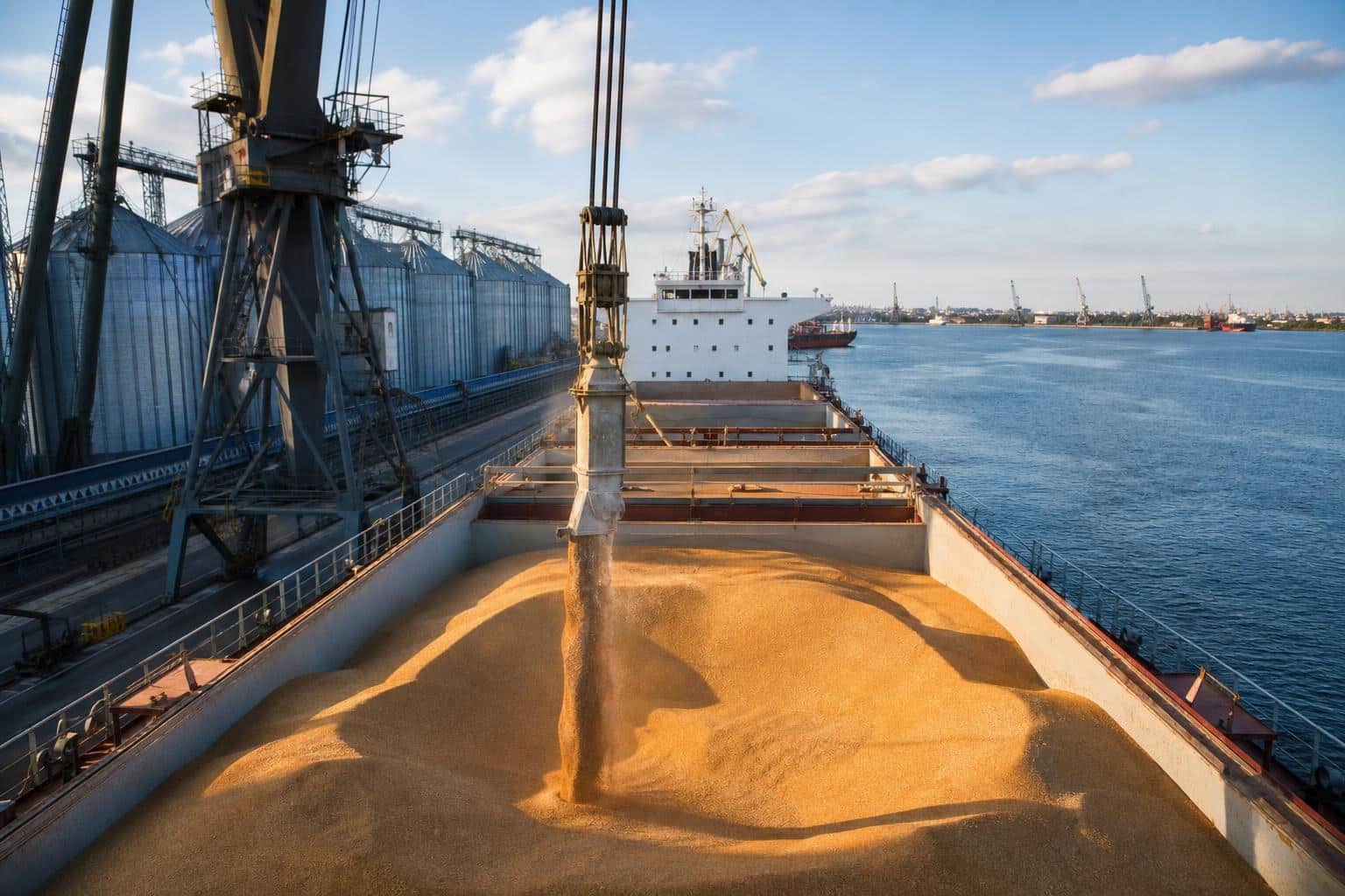 Licitația Algeriei indică o primă de risc pentru grâul din Marea Neagră