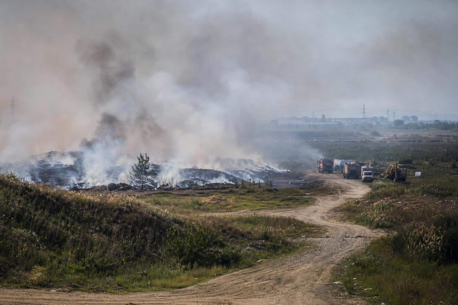 Starea de alertă în București și Ilfov, cerută după arderile ilegale din Sintești. Ce se știe și ce rămâne de decis