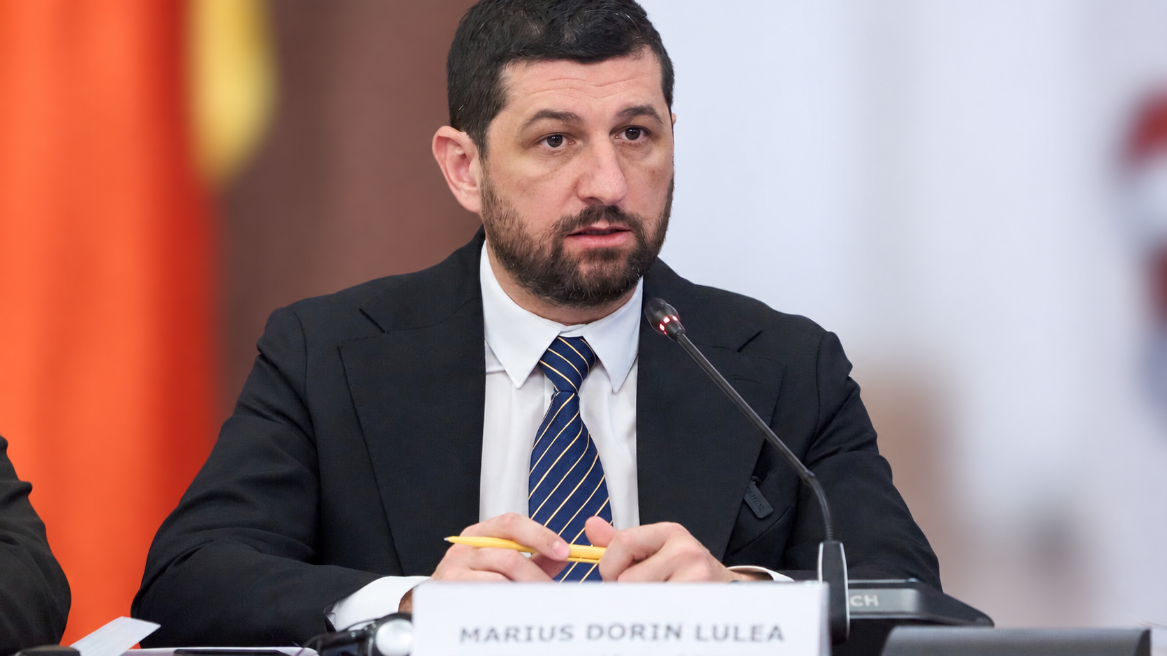 Dr. ing. Marius Lulea: Leul poate fi un avantaj. Euro nu garantează prosperitatea; hărnicia și educația, da.