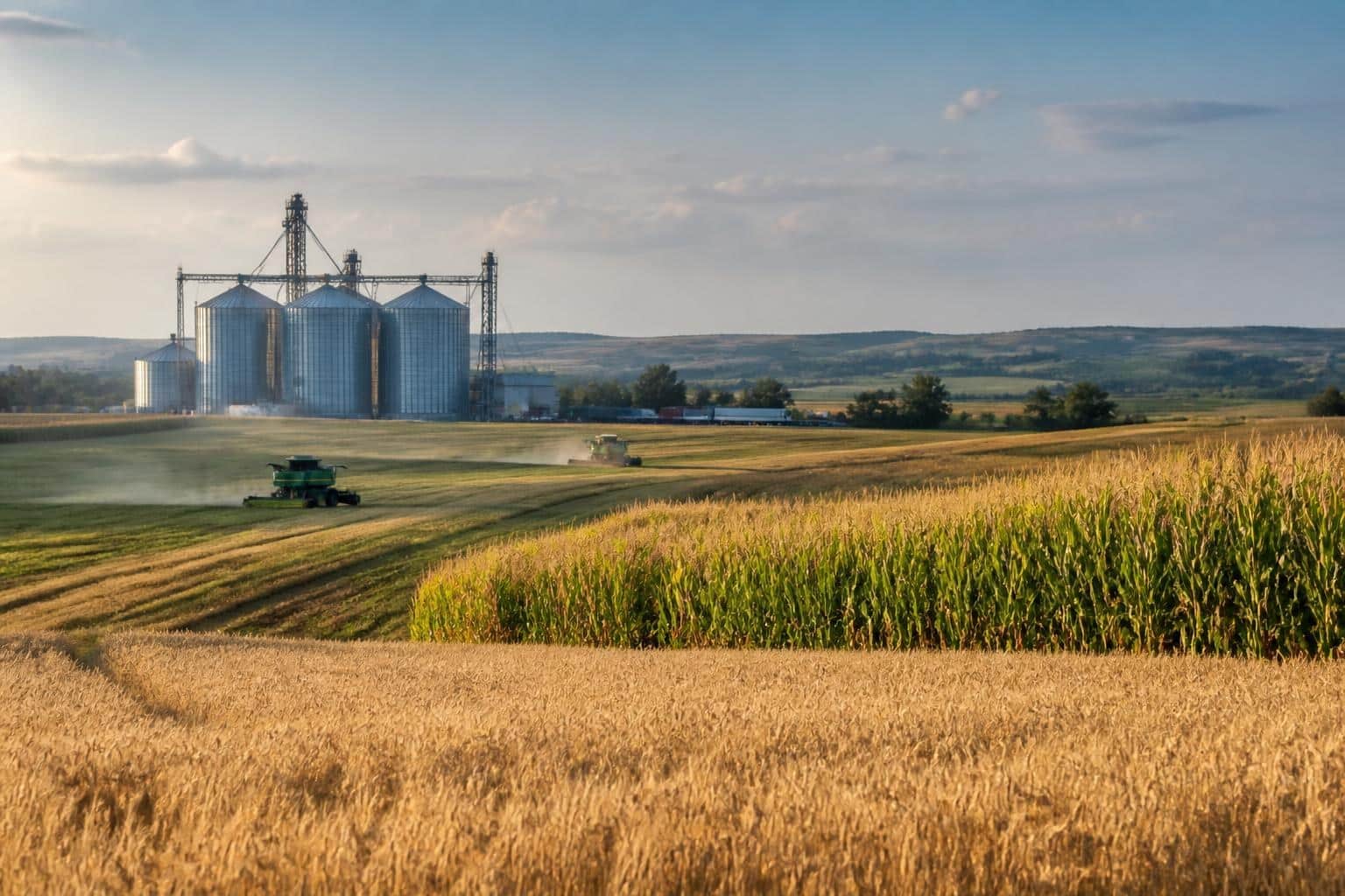 Studiu: productivitatea susține exporturile agroalimentare ale României, dar procesarea rămâne insuficientă